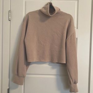 Cropped Turtleneck Sweater